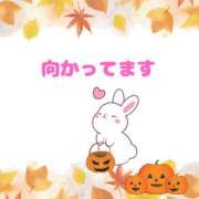 ヒメ日記 2025/10/10 13:15 投稿 せりか 熟女の風俗最終章 本厚木店