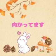 ヒメ日記 2025/11/04 14:01 投稿 せりか 熟女の風俗最終章 本厚木店