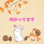 ヒメ日記 2025/11/16 13:07 投稿 せりか 熟女の風俗最終章 本厚木店