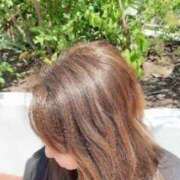 ヒメ日記 2025/12/02 04:30 投稿 清塚 南 30代40代50代と遊ぶなら博多人妻専科24時