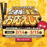 ヒメ日記 2026/02/22 22:49 投稿 清塚 南 30代40代50代と遊ぶなら博多人妻専科24時