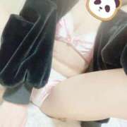 ヒメ日記 2024/12/30 18:09 投稿 あんず（超清楚なニューハーフ！ ハニービー（Honey Bee）