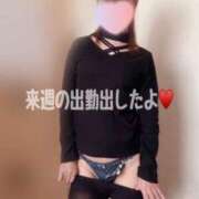 ヒメ日記 2025/10/23 10:19 投稿 あやな 松本人妻隊