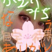 ヒメ日記 2026/02/20 23:46 投稿 ひめり サンキュー厚木店