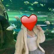 ヒメ日記 2025/11/14 11:54 投稿 みなみ ラブライフさいたま