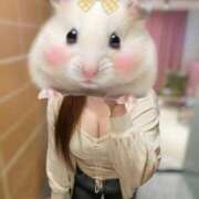 ヒメ日記 2025/11/11 11:54 投稿 みなみ ラブライフ大宮岩槻店