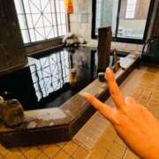 ヒメ日記 2025/03/18 06:27 投稿 かりん 土浦ハッピーマットパラダイス