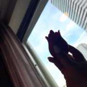 ヒメ日記 2025/03/19 07:07 投稿 かりん 土浦ハッピーマットパラダイス