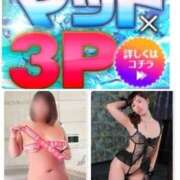 ヒメ日記 2025/04/18 09:37 投稿 かりん 土浦ハッピーマットパラダイス