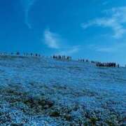 ヒメ日記 2025/04/24 05:27 投稿 かりん 土浦ハッピーマットパラダイス