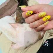 ヒメ日記 2025/08/03 05:37 投稿 かりん 土浦ハッピーマットパラダイス