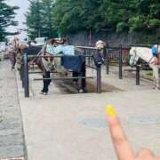 ヒメ日記 2025/08/31 05:37 投稿 かりん 土浦ハッピーマットパラダイス