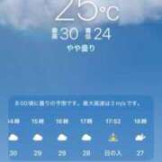 ヒメ日記 2026/01/28 05:37 投稿 かりん 土浦ハッピーマットパラダイス