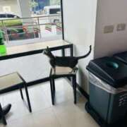 ヒメ日記 2026/02/10 13:27 投稿 かりん 土浦ハッピーマットパラダイス