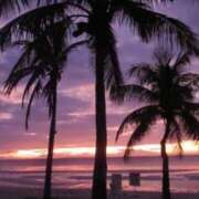 ヒメ日記 2026/02/20 06:57 投稿 かりん 土浦ハッピーマットパラダイス