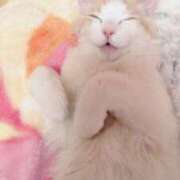 ヒメ日記 2025/04/28 12:30 投稿 実里紅花 プレジデントクラブ