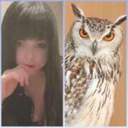 ヒメ日記 2025/05/10 11:14 投稿 実里紅花 プレジデントクラブ