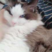 ヒメ日記 2025/05/17 18:16 投稿 実里紅花 プレジデントクラブ