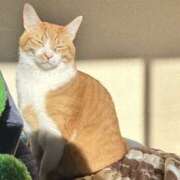 ヒメ日記 2024/12/15 02:32 投稿 ちひろ 川越ぽちゃまに