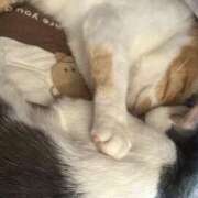 ヒメ日記 2025/01/17 04:32 投稿 ちひろ 川越ぽちゃまに