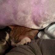 ヒメ日記 2025/02/19 08:02 投稿 ちひろ 川越ぽちゃまに