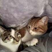 ヒメ日記 2025/02/19 21:44 投稿 ちひろ 川越ぽちゃまに