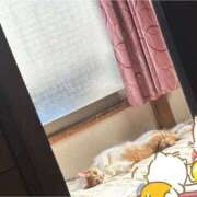 ヒメ日記 2025/03/27 19:42 投稿 ちひろ 川越ぽちゃまに