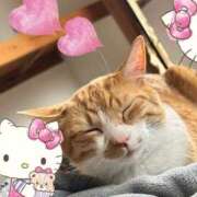 ヒメ日記 2025/05/10 03:42 投稿 ちひろ 川越ぽちゃまに