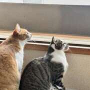 ヒメ日記 2025/06/13 11:02 投稿 ちひろ 川越ぽちゃまに