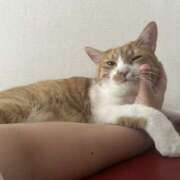 ヒメ日記 2025/06/30 15:03 投稿 ちひろ 川越ぽちゃまに