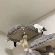 ヒメ日記 2025/07/19 15:52 投稿 ちひろ 川越ぽちゃまに