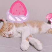 ヒメ日記 2025/07/25 17:42 投稿 ちひろ 川越ぽちゃまに