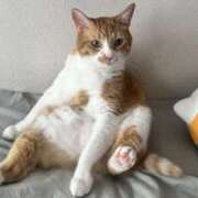 ヒメ日記 2025/08/15 12:22 投稿 ちひろ 川越ぽちゃまに