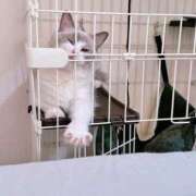 ヒメ日記 2025/08/29 20:02 投稿 ちひろ 川越ぽちゃまに