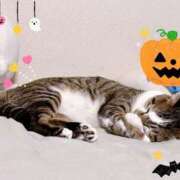 ヒメ日記 2025/10/13 18:02 投稿 ちひろ 川越ぽちゃまに