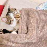 ヒメ日記 2025/10/27 21:42 投稿 ちひろ 川越ぽちゃまに