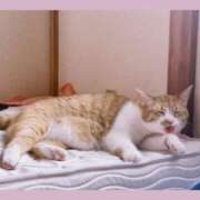 ヒメ日記 2025/11/14 19:02 投稿 ちひろ 川越ぽちゃまに