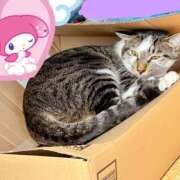 ヒメ日記 2025/11/29 14:22 投稿 ちひろ 川越ぽちゃまに