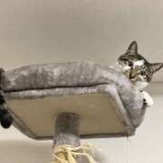 ヒメ日記 2025/12/16 03:32 投稿 ちひろ 川越ぽちゃまに