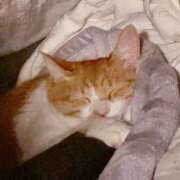 ヒメ日記 2026/02/14 17:32 投稿 ちひろ 川越ぽちゃまに