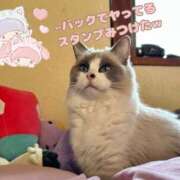 ヒメ日記 2026/03/29 11:02 投稿 ちひろ 川越ぽちゃまに