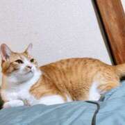 ヒメ日記 2026/04/15 15:52 投稿 ちひろ 川越ぽちゃまに