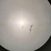 ヒメ日記 2025/01/17 03:39 投稿 みみ アネックスジャパン