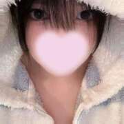 ヒメ日記 2025/01/31 19:19 投稿 みみ アネックスジャパン