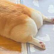 ヒメ日記 2025/01/11 21:31 投稿 瑠衣（ルイ） アバンチュール(五反田)