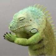 ヒメ日記 2025/01/12 14:46 投稿 瑠衣（ルイ） アバンチュール(五反田)