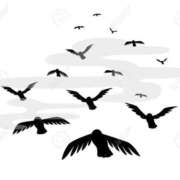 ヒメ日記 2025/02/21 00:46 投稿 瑠衣（ルイ） アバンチュール(五反田)