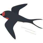 ヒメ日記 2025/02/23 10:16 投稿 瑠衣（ルイ） アバンチュール(五反田)