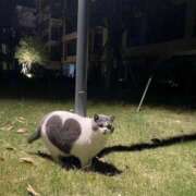 ヒメ日記 2025/03/06 13:16 投稿 瑠衣（ルイ） アバンチュール(五反田)