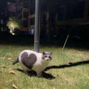 ヒメ日記 2025/04/20 00:46 投稿 瑠衣（ルイ） アバンチュール(五反田)